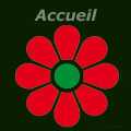 Accueil